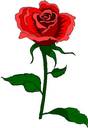 image file name: 2ka3c0dd911f.jpg