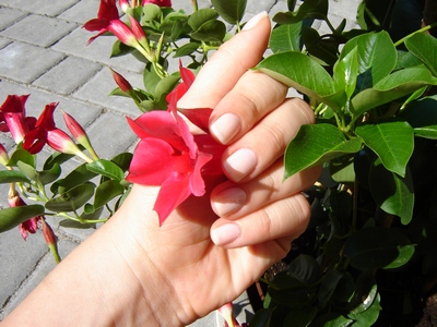 image file name: 2ka4596706f7.jpg