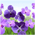 image file name: 2ka520a0ad9d.gif