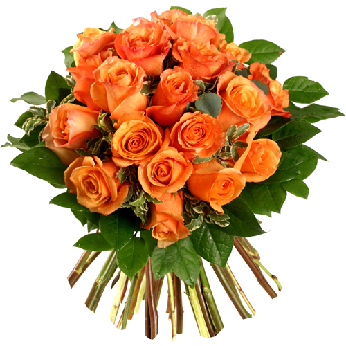 image file name: 2ka5f67bbf52.jpg