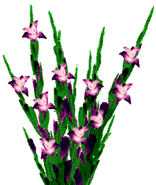 image file name: 2ka730f6cfad.gif