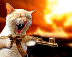 image file name: 2ka767b86780.gif