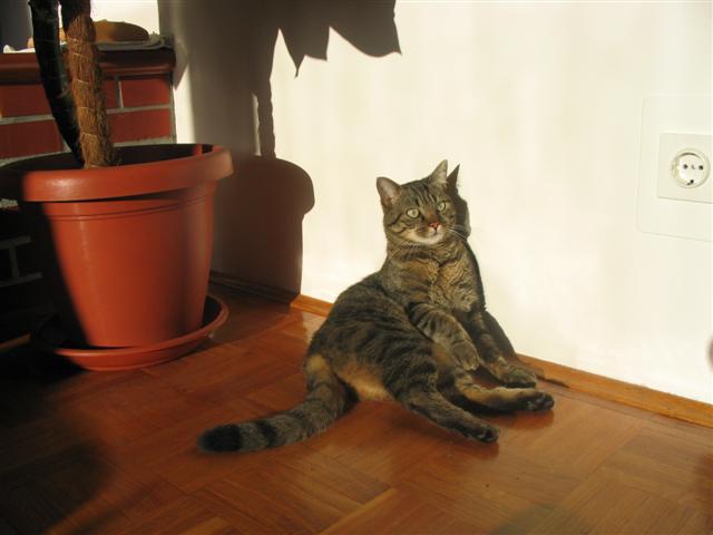 image file name: 2ka76ae1edf2.jpg