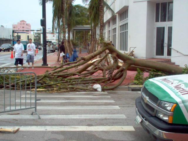 image file name: 2ka8094454a4.jpg