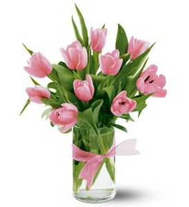 image file name: 2ka83222f8c6.jpg