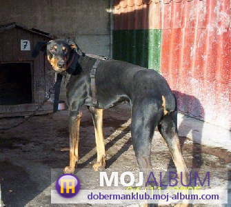 image file name: 2ka88728bcef.jpg