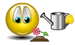 image file name: 2ka8d6d6ea69.gif