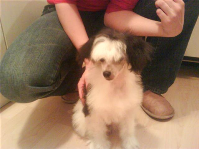 image file name: 2ka963902c0b.jpg