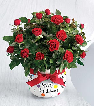 image file name: 2kaa03d63fa5.jpg