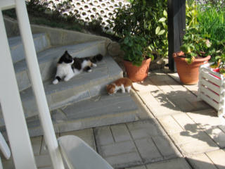 image file name: 2kaa52749e44.jpg