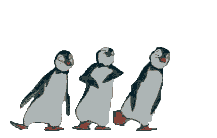image file name: 2kaaeae7be5f.gif