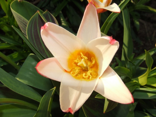 image file name: 2kaf55641093.jpg