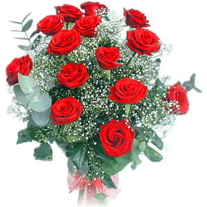 image file name: 2kb0572ad0b0.jpg