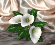 image file name: 2kb495e4c9b8.jpg