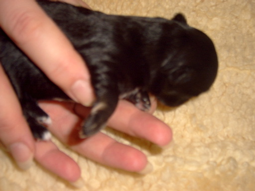 image file name: 2kb4d21d5d68.jpg