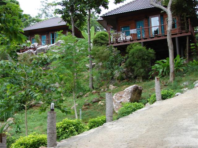 image file name: 2kb522c56d5a.jpg