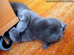 image file name: 2kb626a282df.jpg