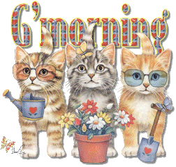 image file name: 2kb6eb5b67f2.gif