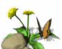 image file name: 2kb771710aa2.gif