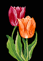 image file name: 2kb8c8dcef78.gif