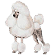 image file name: 2kb96b0dd034.gif