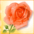 image file name: 2kba9f9b7db2.gif