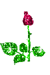 image file name: 2kbb7b0e411b.gif
