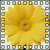 image file name: 2kbc8d68da46.gif