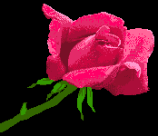 image file name: 2kbcf07dbf5b.gif