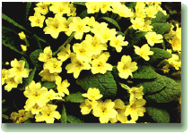 image file name: 2kbdb2e33e9c.gif
