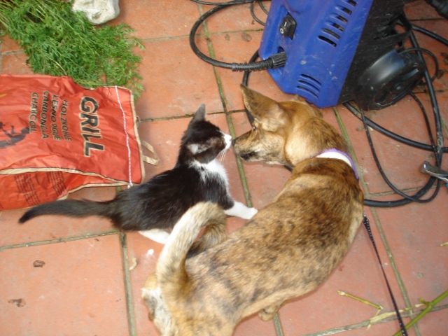image file name: 2kbdb7cd52e2.jpg