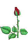 image file name: 2kbf7b5aed44.gif
