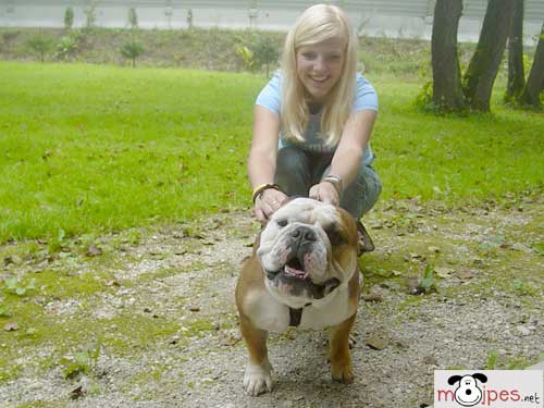 image file name: 2kc011808eec.jpg