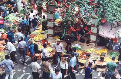 image file name: 2kc0e342c67a.jpg