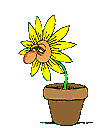 image file name: 2kc0f37075f8.gif