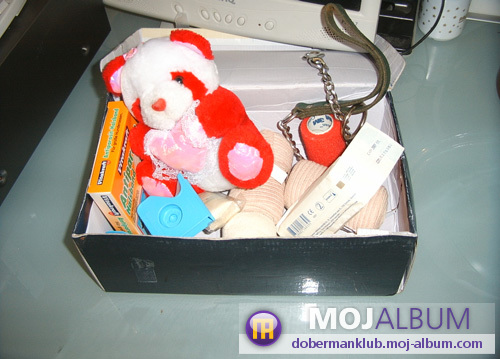 image file name: 2kc24128832d.jpg