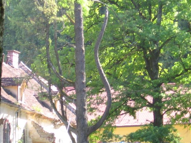image file name: 2kc3cb44426b.jpg