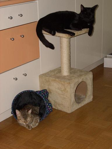 image file name: 2kc46ae5d53c.jpg