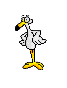 image file name: 2kc5c08274eb.gif