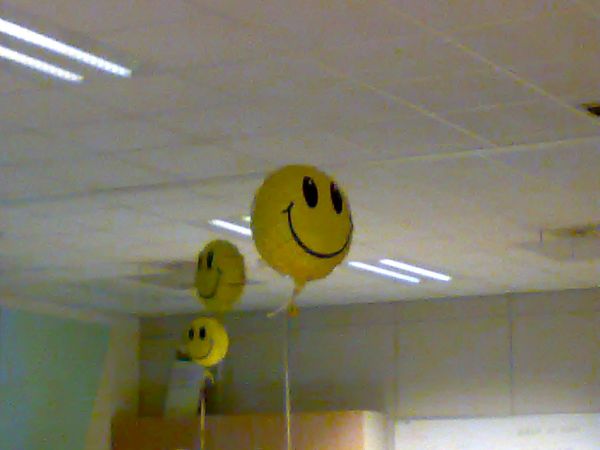 image file name: 2kc632cea8e0.jpg