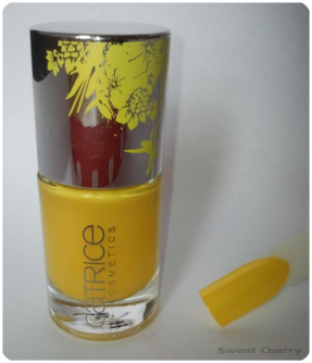image file name: 2kc64006b109.png