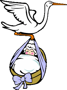 image file name: 2kc77d6d2797.gif