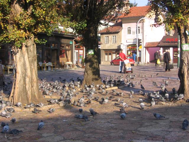 image file name: 2kc8dbda8b59.jpg