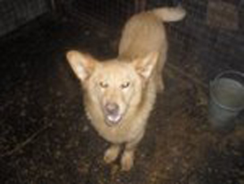 image file name: 2kc8e2cdda7c.jpg