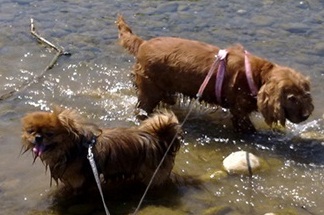 image file name: 2kcd0b91c52c.jpg