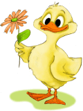 image file name: 2kce6e257f1f.gif