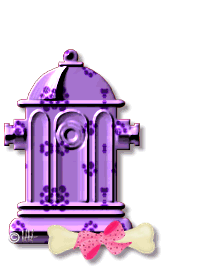 image file name: 2kd22e1b265d.gif