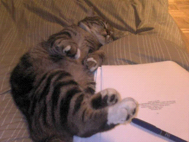 image file name: 2kd398c29420.gif