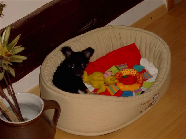 image file name: 2kd5f3b14deb.jpg