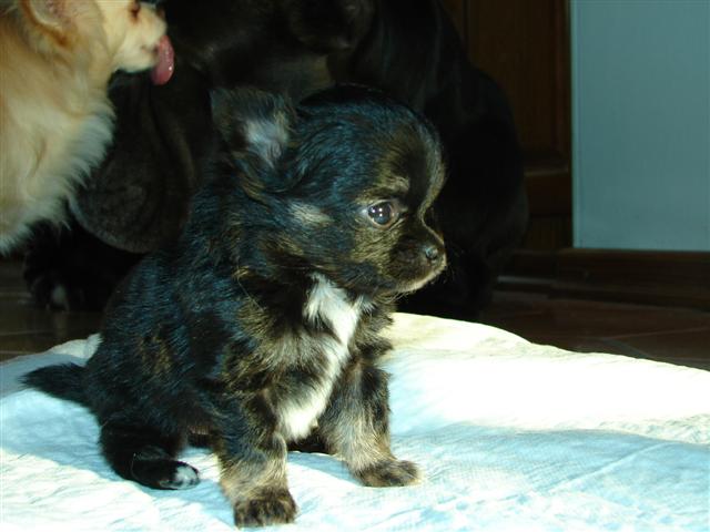 image file name: 2kda65f6ffaf.jpg